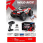 WILD RIDE 1:20 OFF ROAD